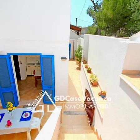 Gdcasevacanza - Blu - *